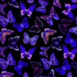 Meet your Posher, Vanessa